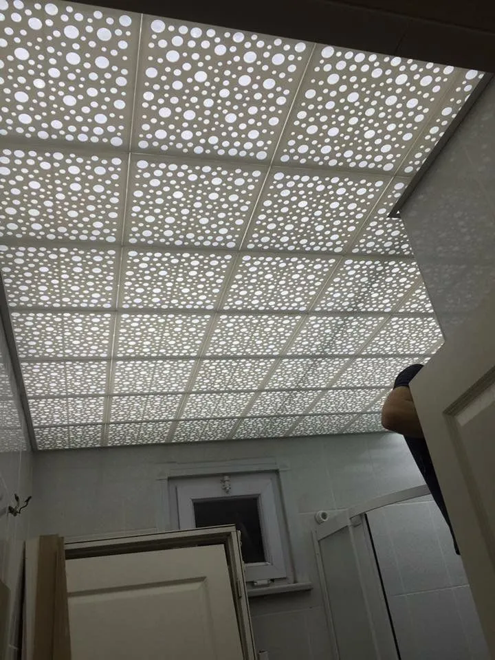 Clip-in Asma Tavan - Proje 3