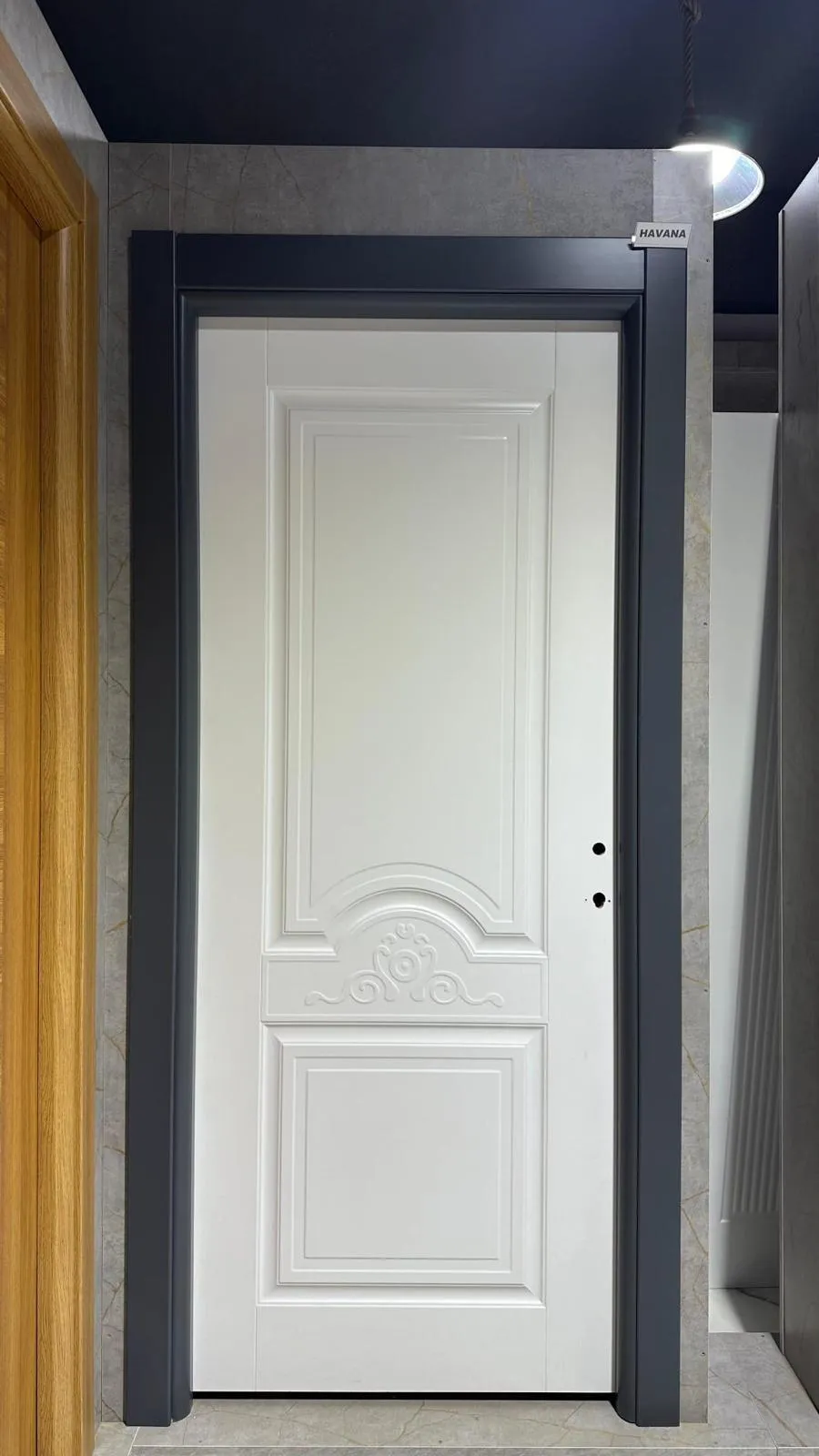 Panel Kapı - Proje 11