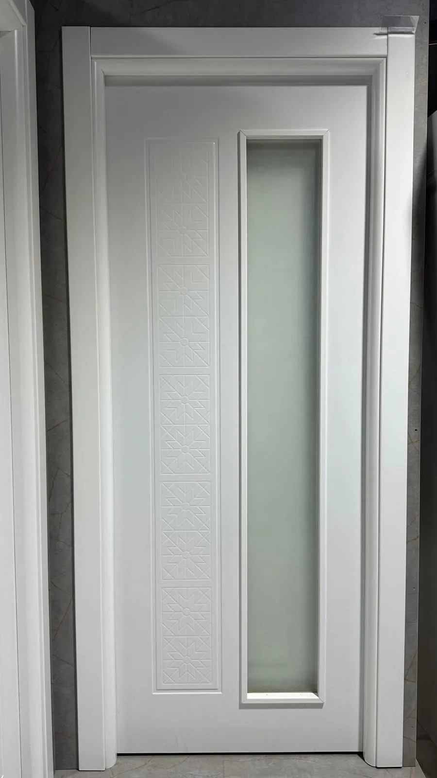 Panel Kapı - Proje 12