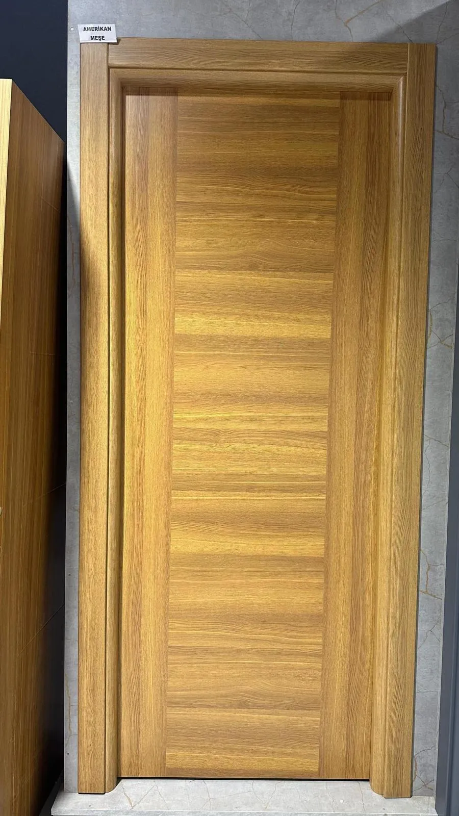 Panel Kapı - Proje 9